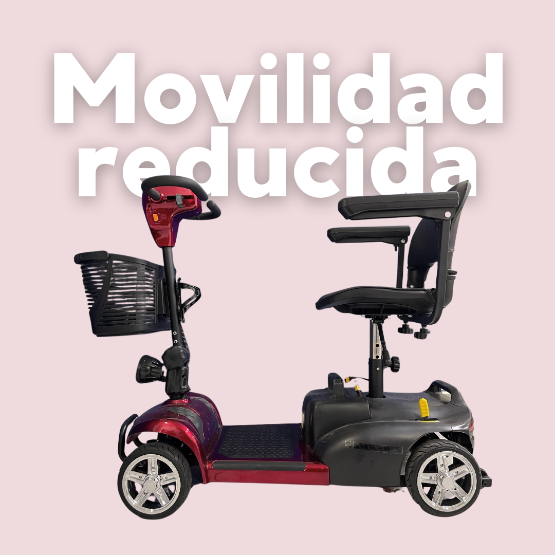 MOVILIDAD REDUCIDA