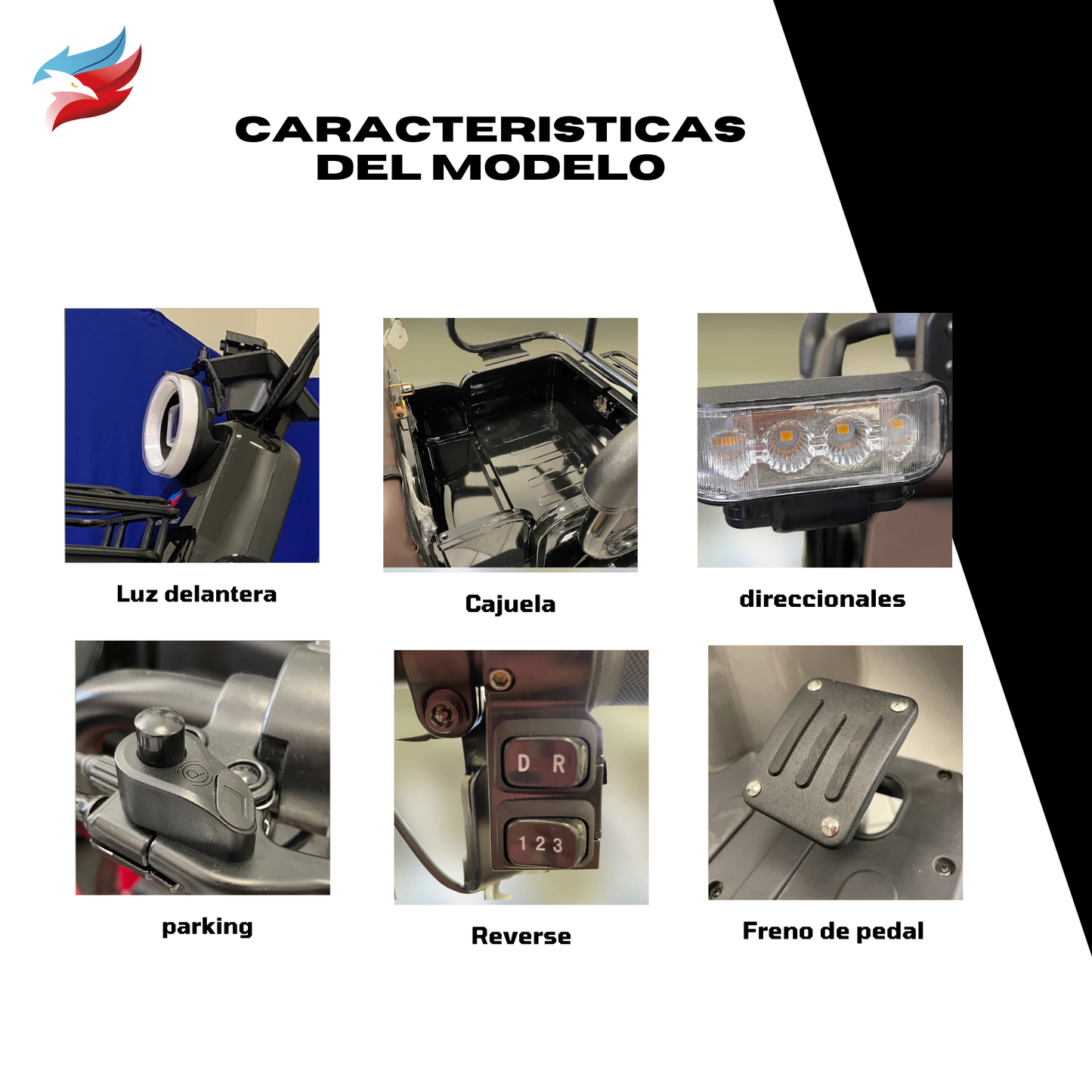 Triciclo Eléctrico E-hermas C60